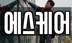 에스케어