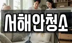 서해안청소