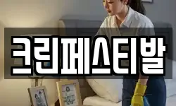 크린페스티발