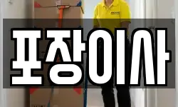 포장이사
