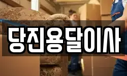 당진용달이사