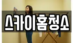 스카이홈청소