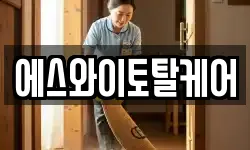 에스와이토탈케어