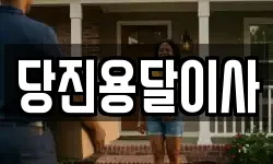 당진용달이사