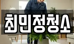 최민정청소