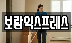 보람익스프레스