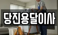 당진용달이사