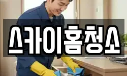 스카이홈청소