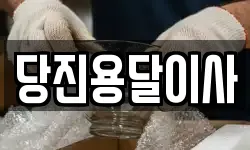 당진용달이사