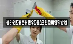 블라인드커튼커텐우드롤스크린콤비암막방염
