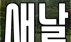 새날
