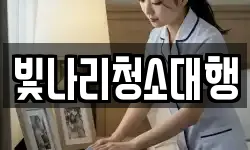 빛나리청소대행