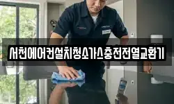 충남 서천군 화양면 청소,입주청소,사무실청소,에어컨청소