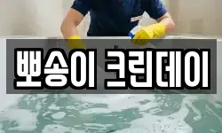 뽀송이 크린데이