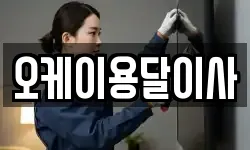 오케이용달이사