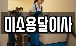 미소용달이사