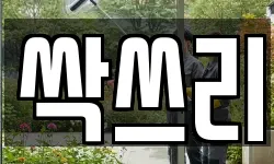 싹쓰리