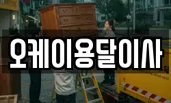 오케이용달이사