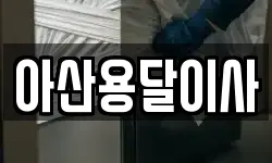 아산용달이사