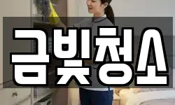 금빛청소