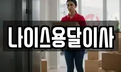 나이스용달이사