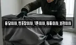 용달이사,반포장이사,1톤이사,원룸이사,보관이사
