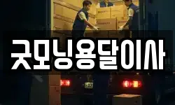 굿모닝용달이사