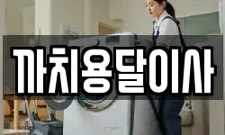 까치용달이사