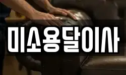 미소용달이사