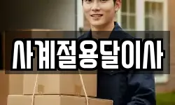사계절용달이사