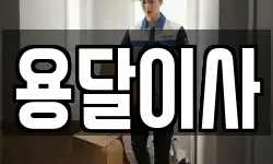 용달이사