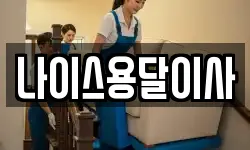 나이스용달이사