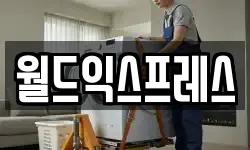 월드익스프레스