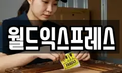 월드익스프레스