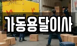 가동용달이사