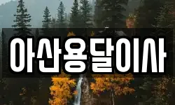 아산용달이사