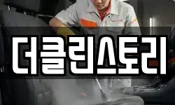 더클린스토리