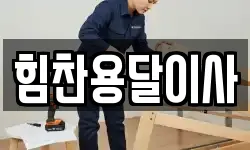 힘찬용달이사