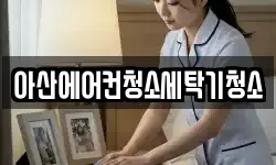 아산에어컨청소세탁기청소