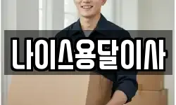 나이스용달이사