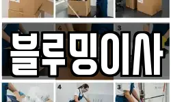 블루밍이사
