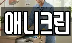 애니크린