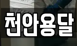 천안용달
