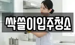 싹쓸이입주청소