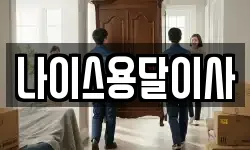 나이스용달이사