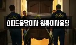 스피드용달이사 원룸이사용달