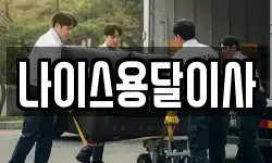 나이스용달이사