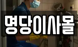 충남 아산시 점양동 이사,용달이사,포장이사,원룸이사,보관이사