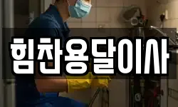힘찬용달이사