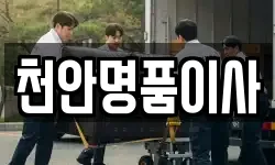 천안명품이사